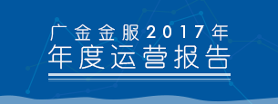 2017年年度平台运营报告